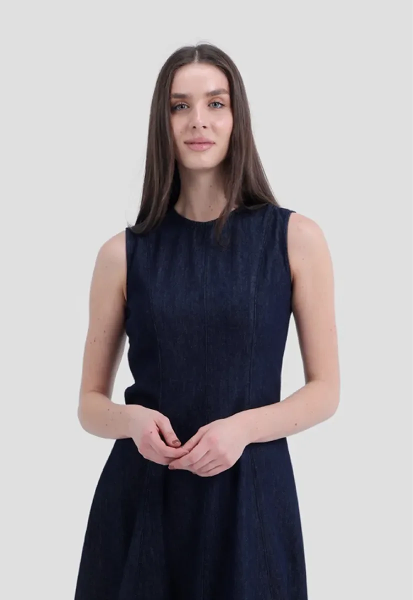 Denim A-line Dress - chapters.